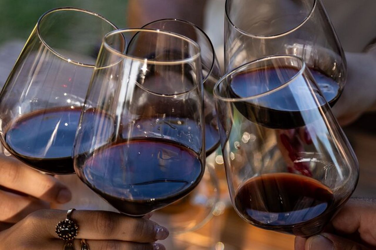 Da Abano e Montegrotto: Wine Tour sui Colli Euganei — 5