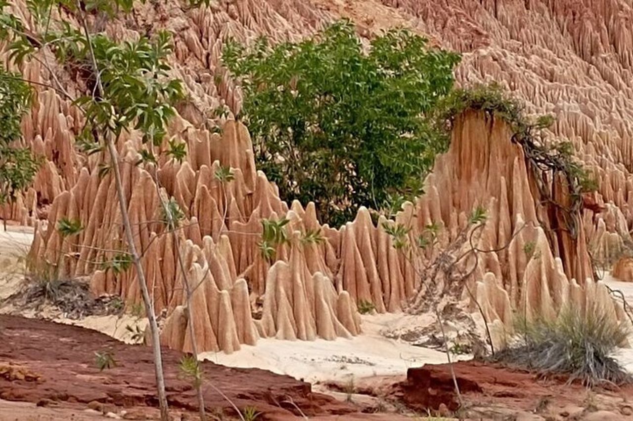 Madagascar Red Tsingy Tour di mezza giornata da Diego Suarez — 5