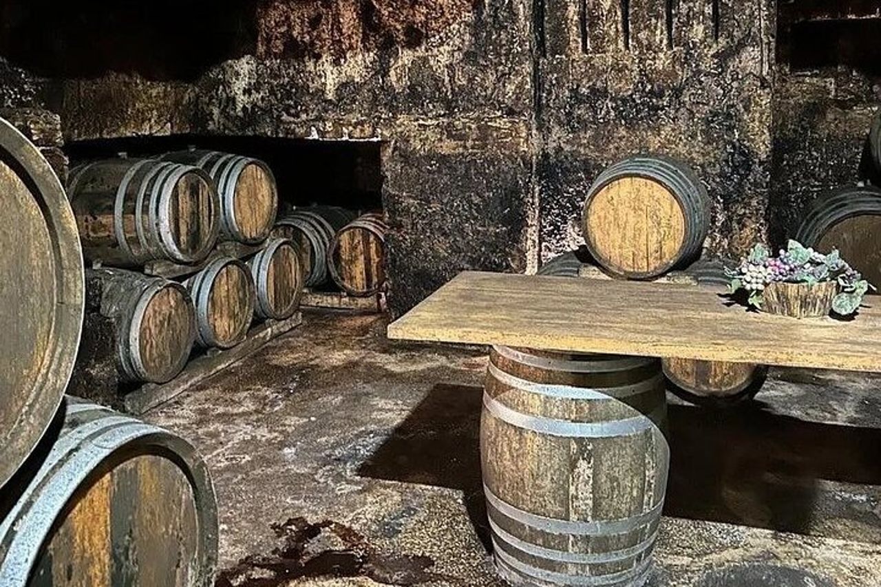 Visita alla cantina storica con degustazione di cibo e vino a Marsala — 7