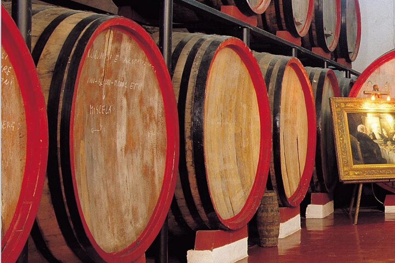 Visita alla cantina storica con degustazione di cibo e vino a Marsala — 8