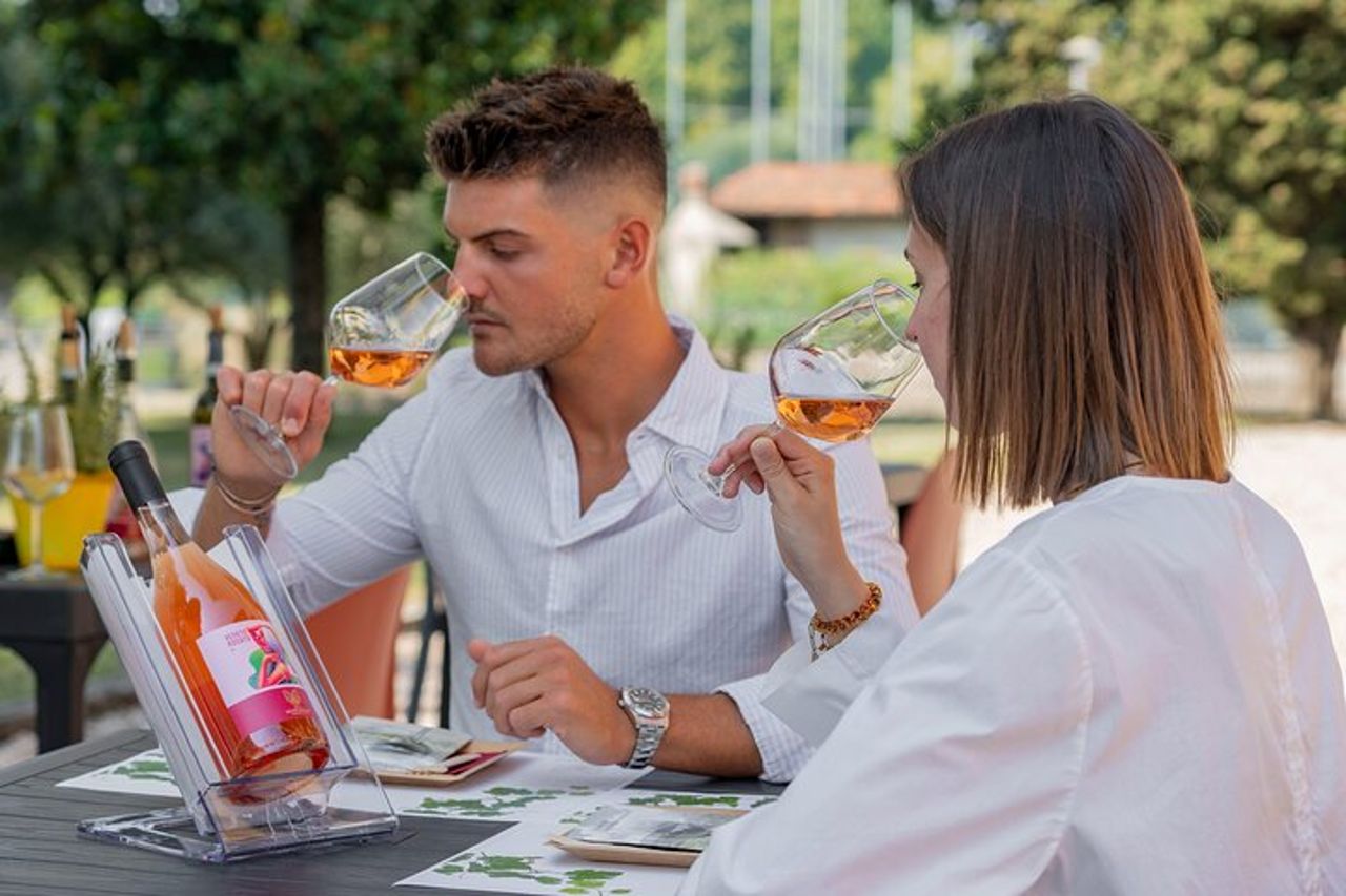 Nettare di Leggenda: Alla Scoperta dei Vini e dei Miti del Garda — 4