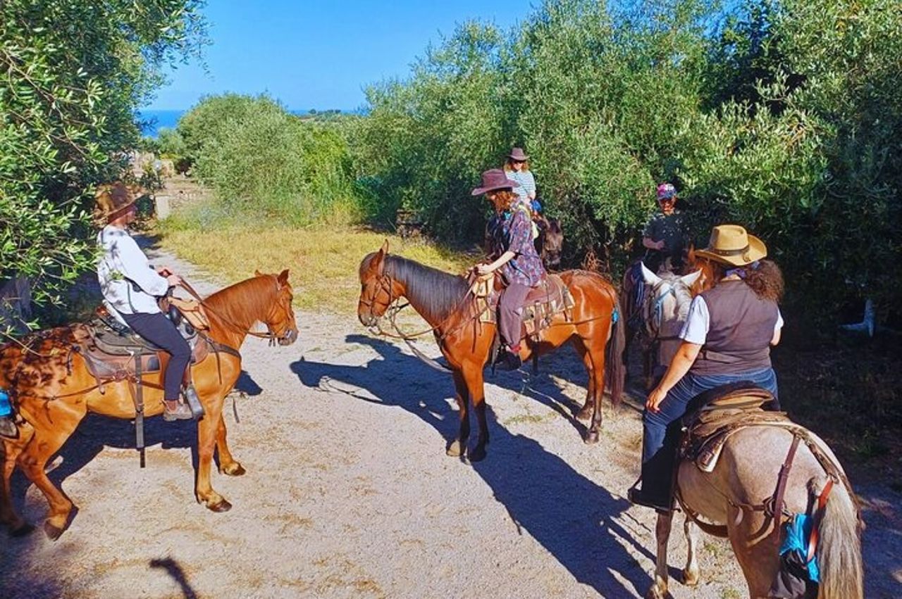 Tour guidato a cavallo di Sorrento — 2