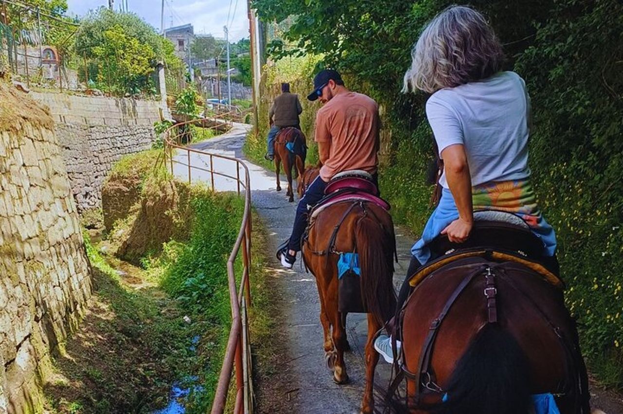 Tour guidato a cavallo di Sorrento — 3