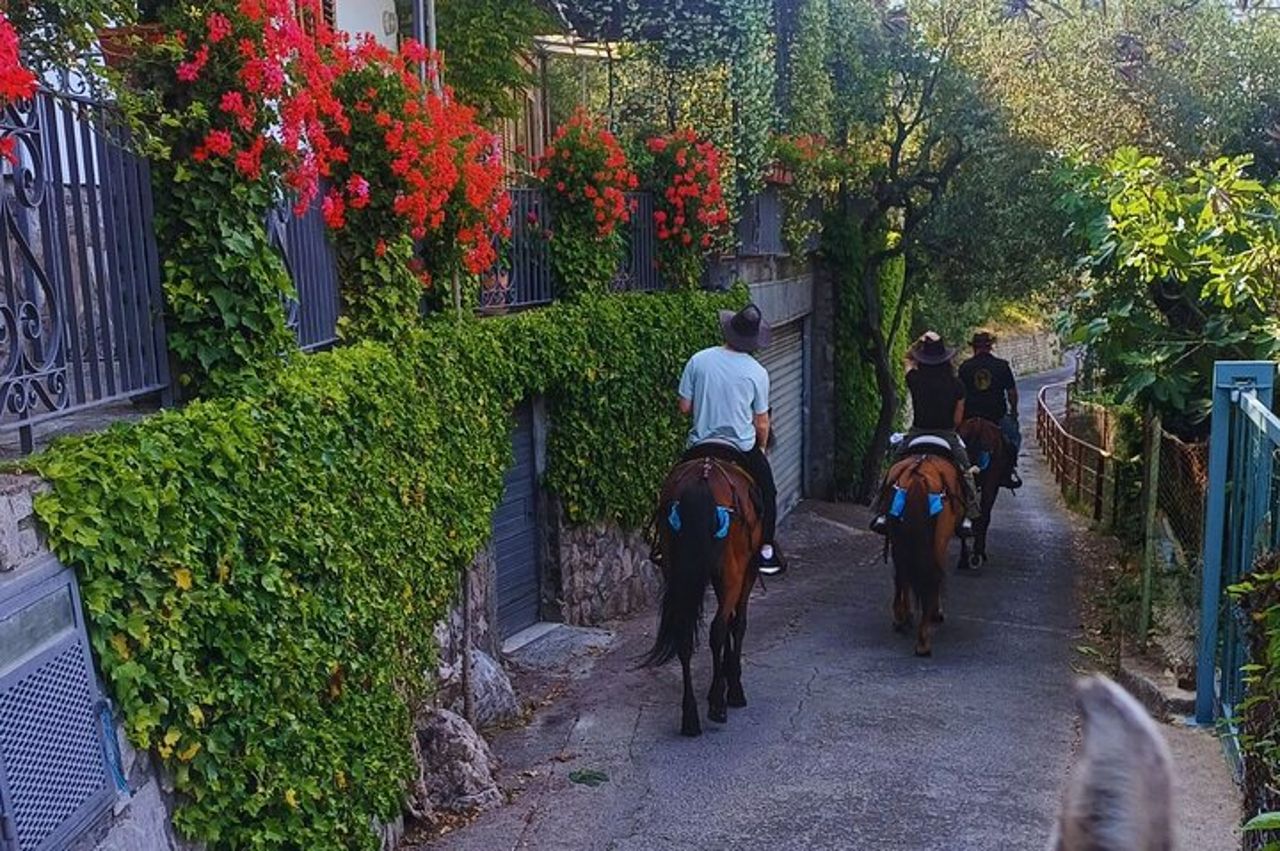 Tour guidato a cavallo di Sorrento — 9
