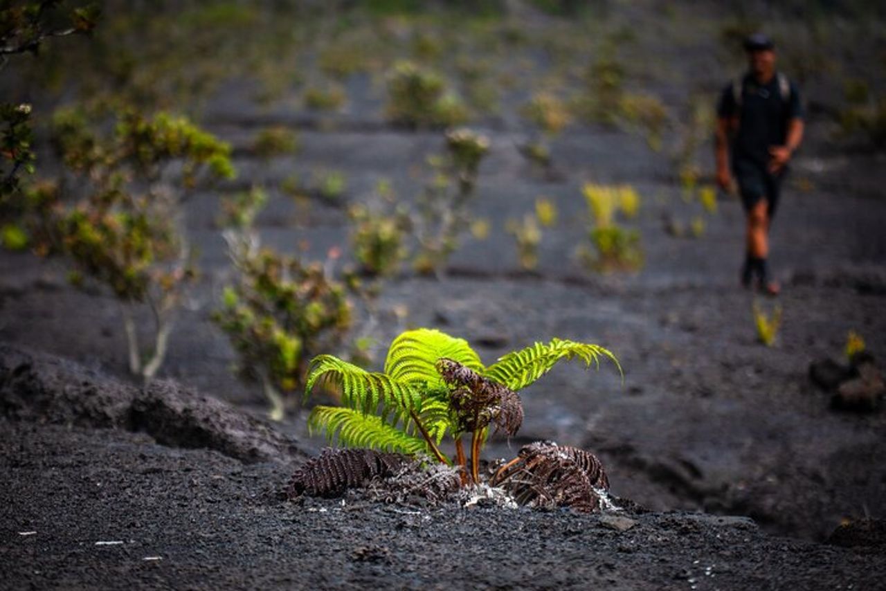 Parco Nazionale dei Vulcani delle Hawai'i : Vulcano Experience & Connection — 8