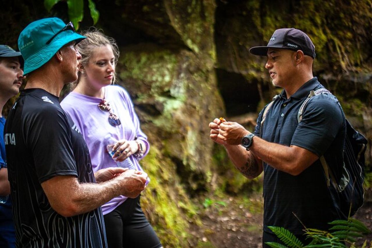 Parco Nazionale dei Vulcani delle Hawai'i : Vulcano Experience & Connection — 3