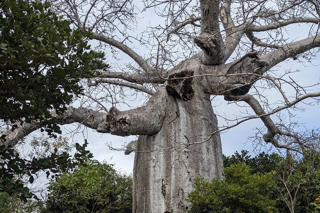 Le attrazioni imperdibili del Madagascar settentrionale in 5 giorni — 3