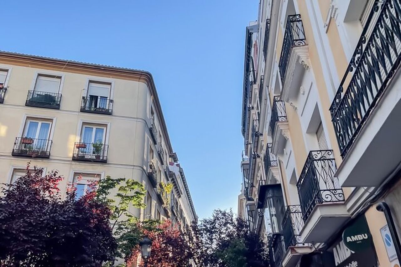 Madrid : tour a piedi di La Latina con bevande e tapas tradizionali — 9