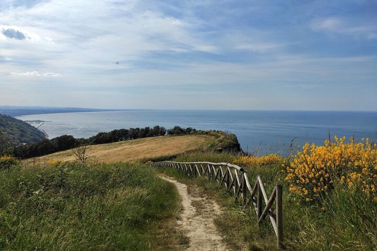Escursione sul monte San Bartolo — 3