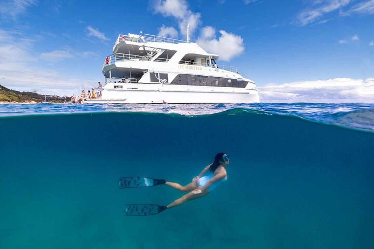 Moreton Island & Tangalooma Relitti Crociera con snorkeling - Brisbane