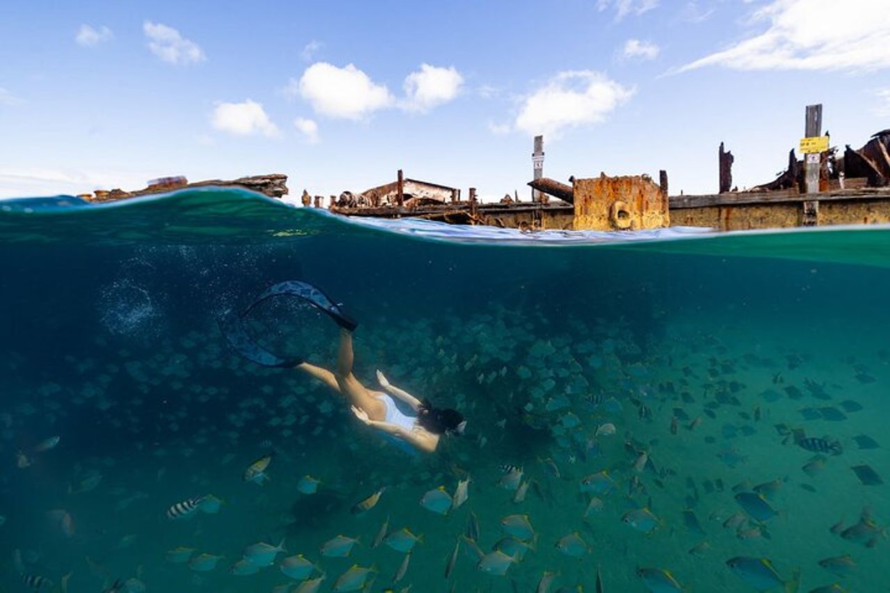 Moreton Island & Tangalooma Relitti Crociera con snorkeling - Brisbane — 6