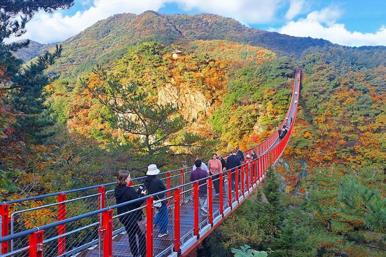 Visita guidata DMZ con N.K./Gondola/Ponte sospeso da Seoul — 4