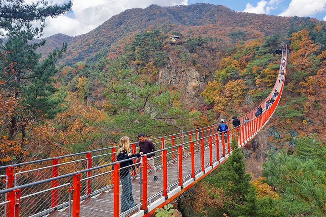 Visita guidata DMZ con N.K./Gondola/Ponte sospeso da Seoul — 3