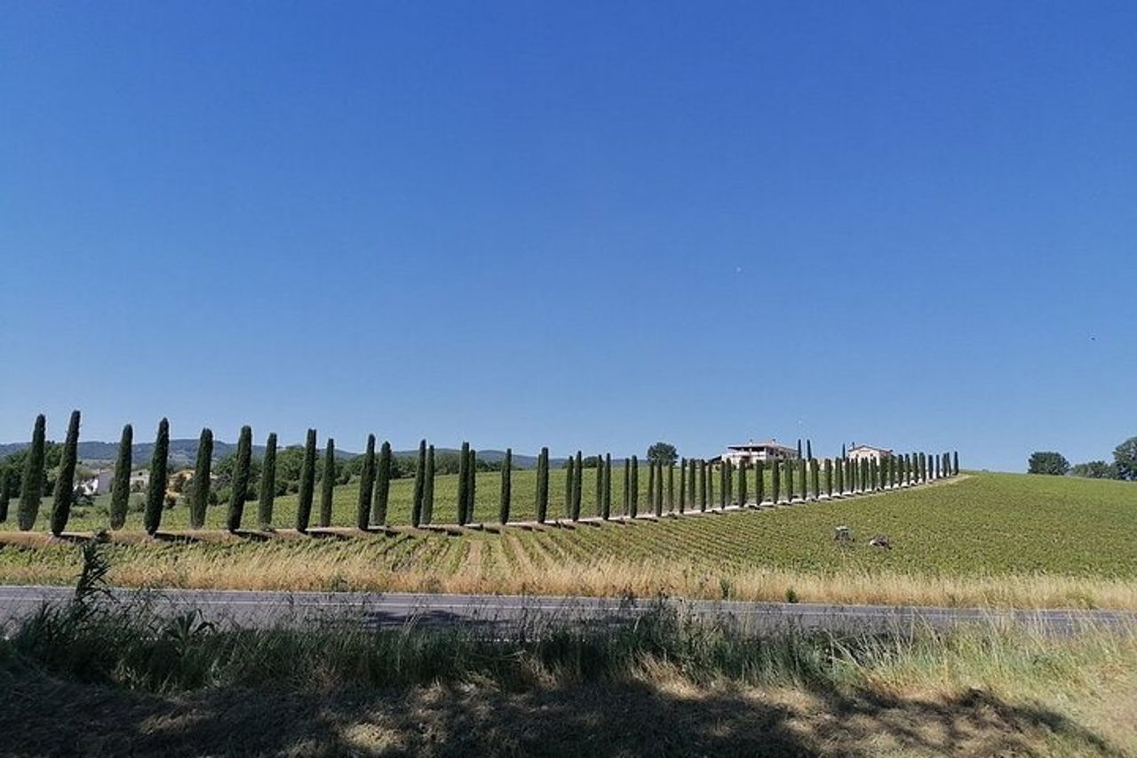 Tour privato di Assisi e Spoleto da Roma