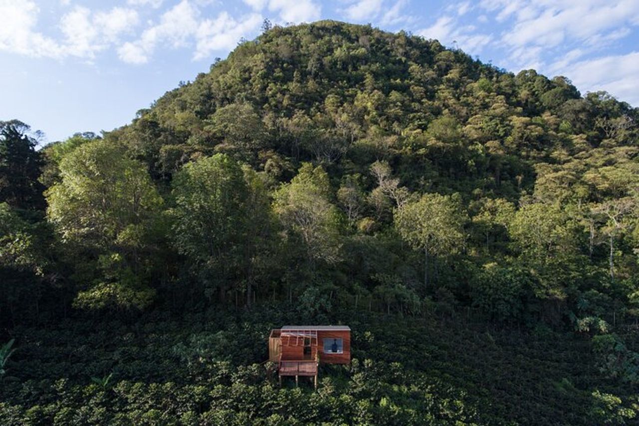 Tour del caffè da Bogotà alle piantagioni di La Palma e El Tucán — 6