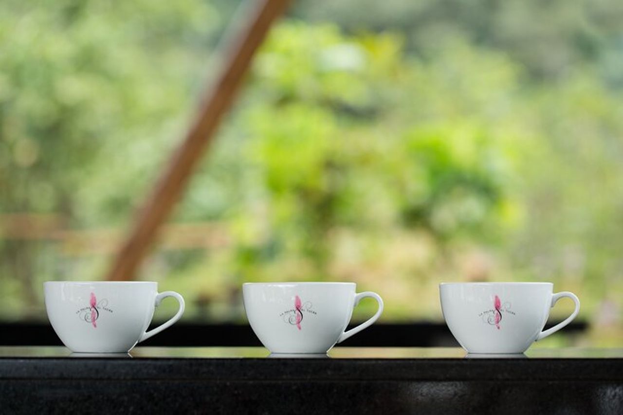 Tour del caffè da Bogotà alle piantagioni di La Palma e El Tucán — 7