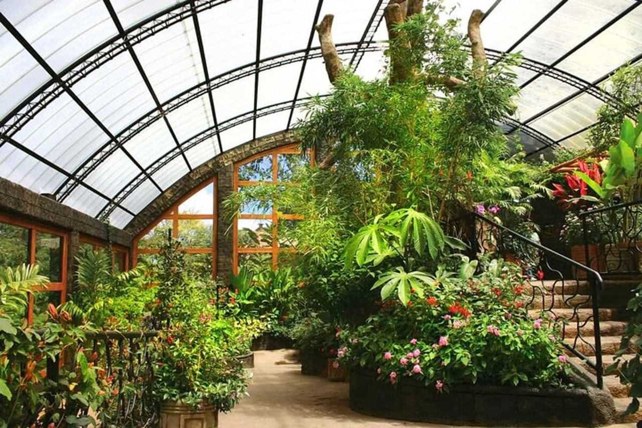 Tour privato del vulcano Poas e dei giardini delle cascate di La Paz — 4