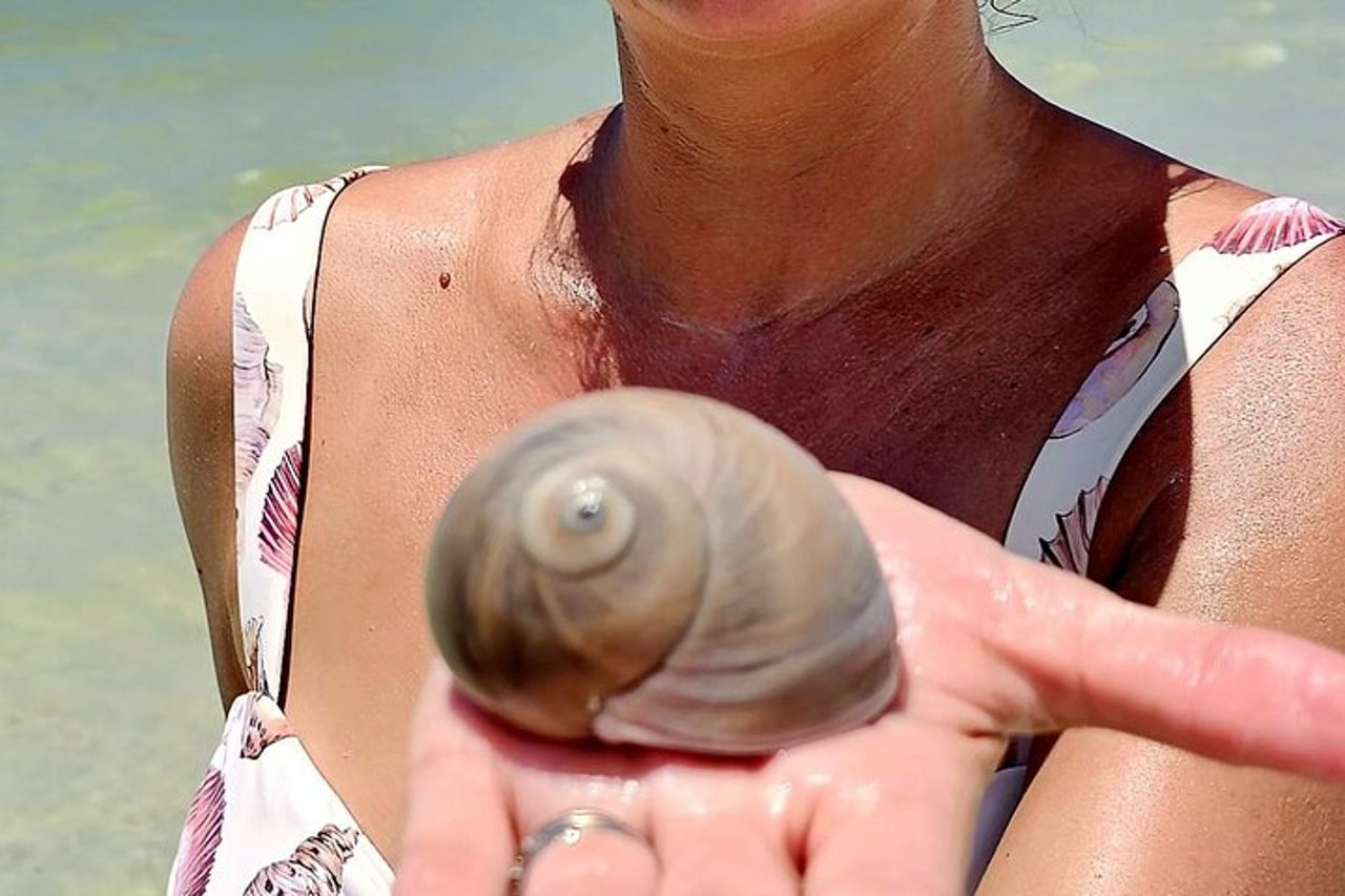 Napoli Keewaydin Tour dei delfini e della spiaggia — 4