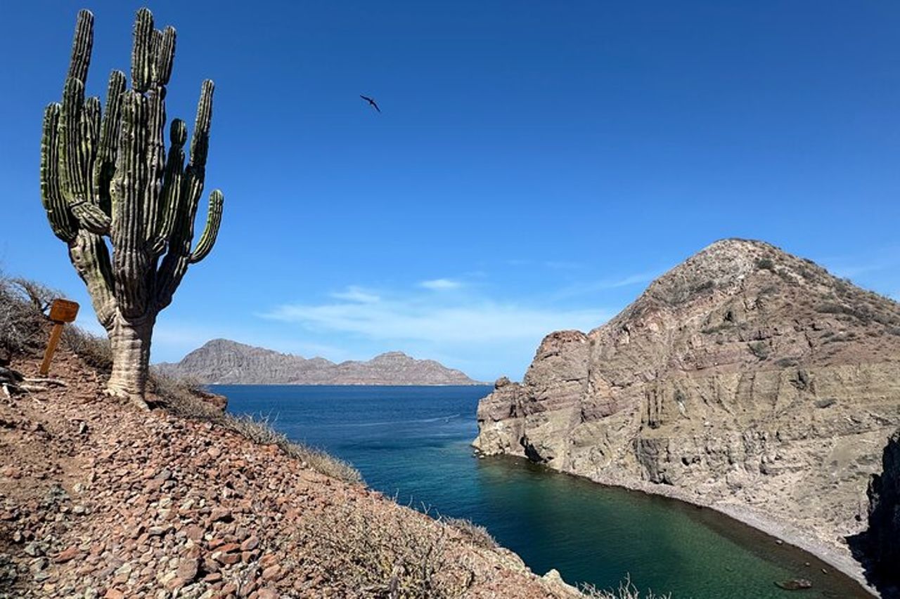 Avventura di snorkeling con picnic dall'hotel villa del Palmar — 8