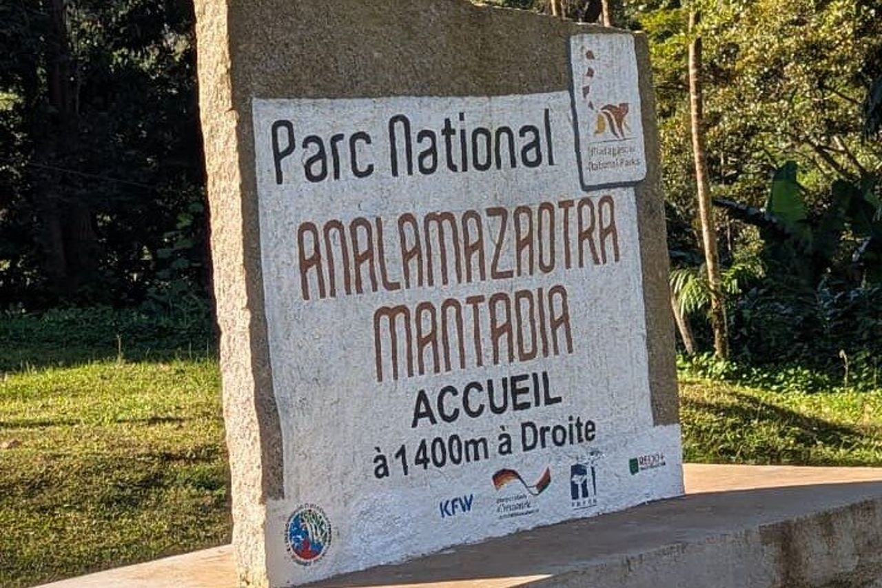 Tour privato di un giorno in 4WD al Parco Nazionale di Andasibe — 3