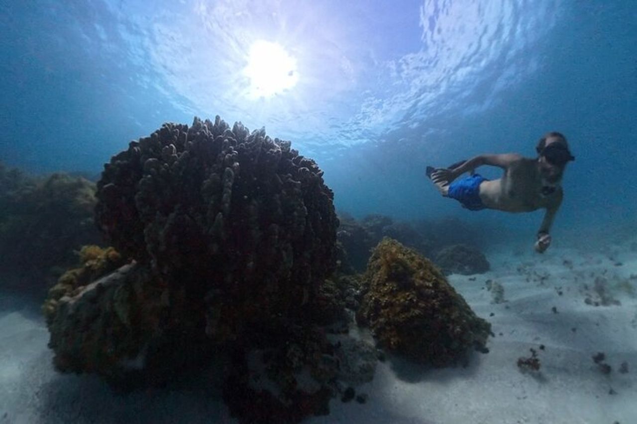 Isola di Pasqua Snorkeling sulle barriere coralline — 5