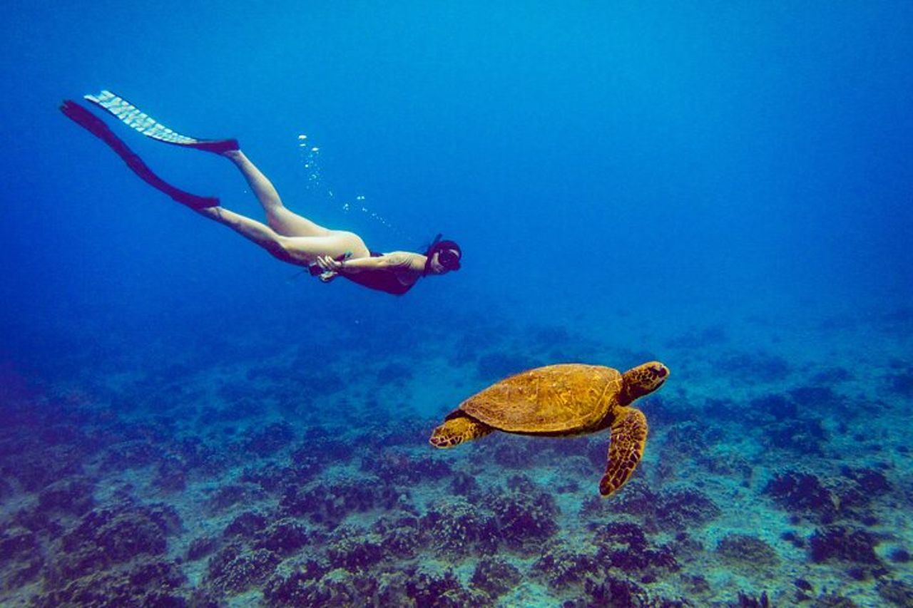 Isola di Pasqua Snorkeling sulle barriere coralline — 3