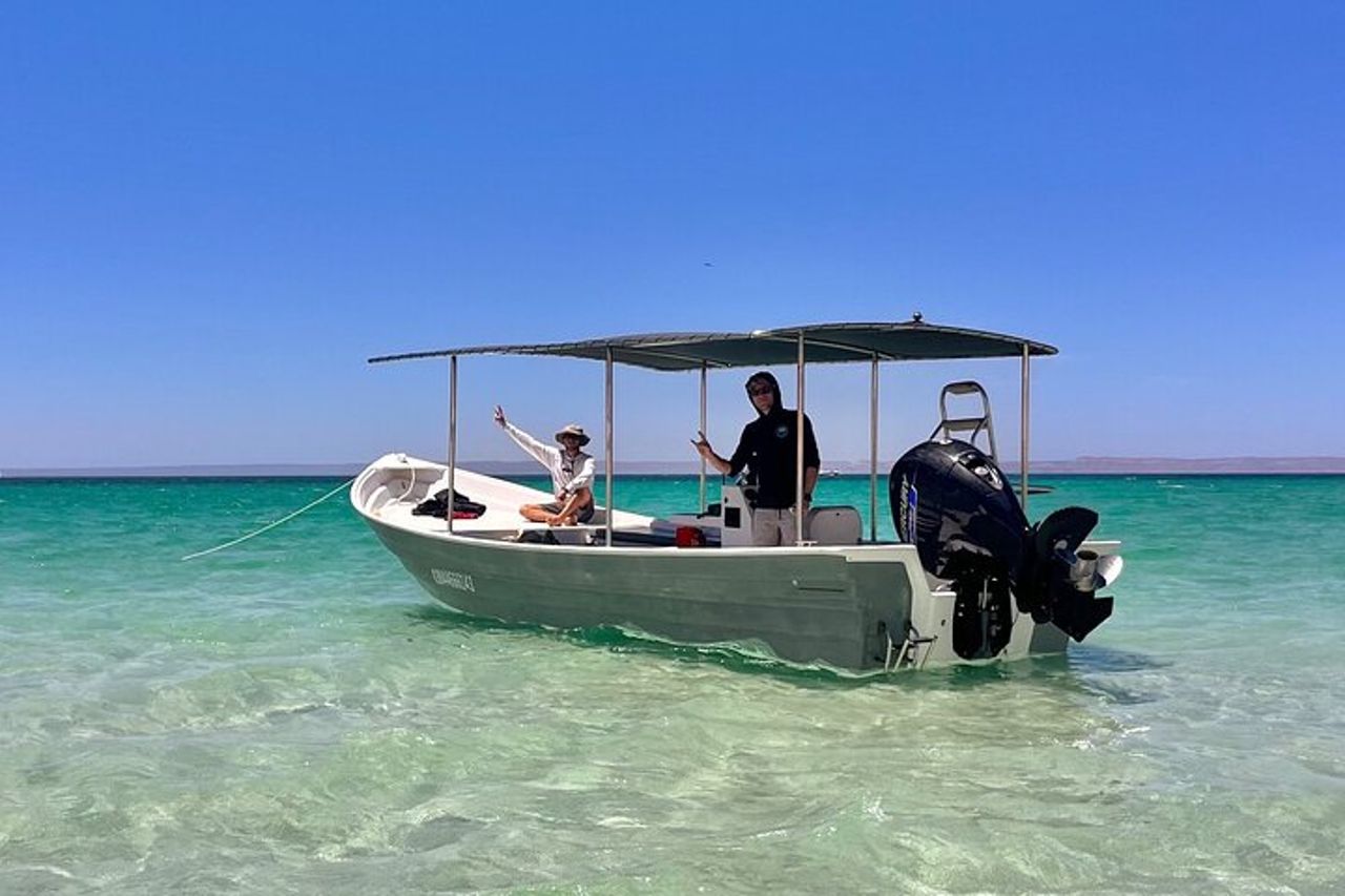 Fare snorkeling con i leoni marini sull'isola di Espíritu Santo — 9