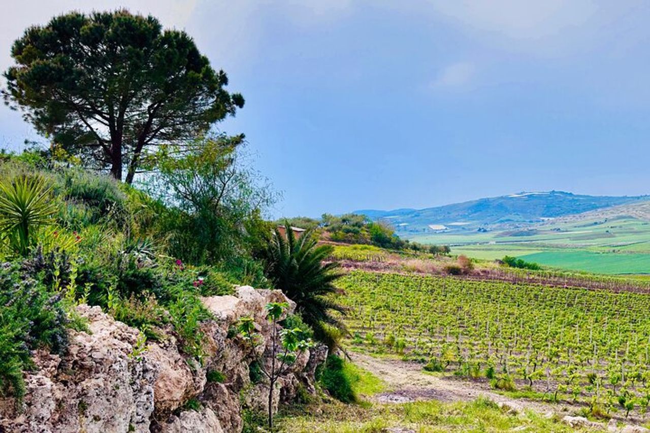 VILLA ROMANA in PIAZZA ARMERINA e CANTINA - Tour da Agrigento — 8