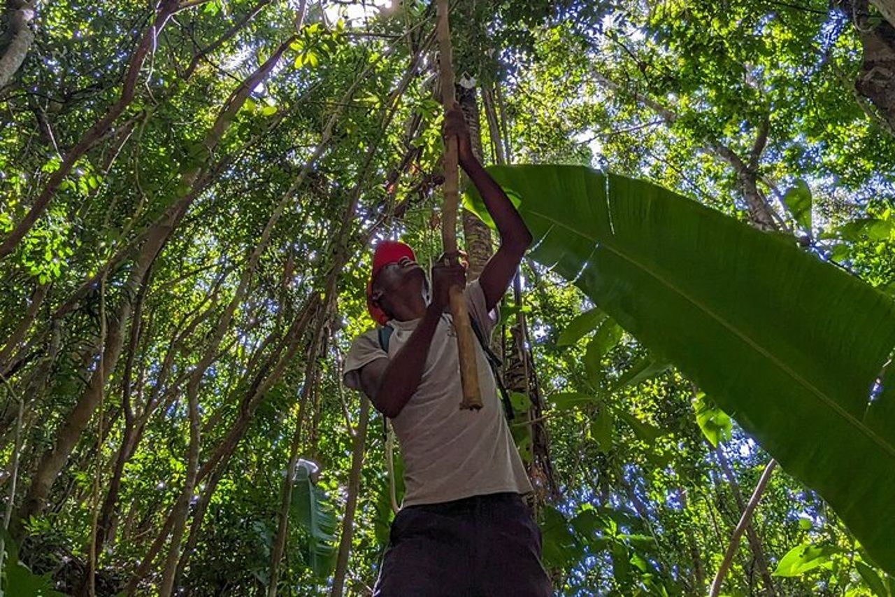 Tour di Lokobe: Piroga, Foresta dei Lemuri e Pranzo Malgascio — 9