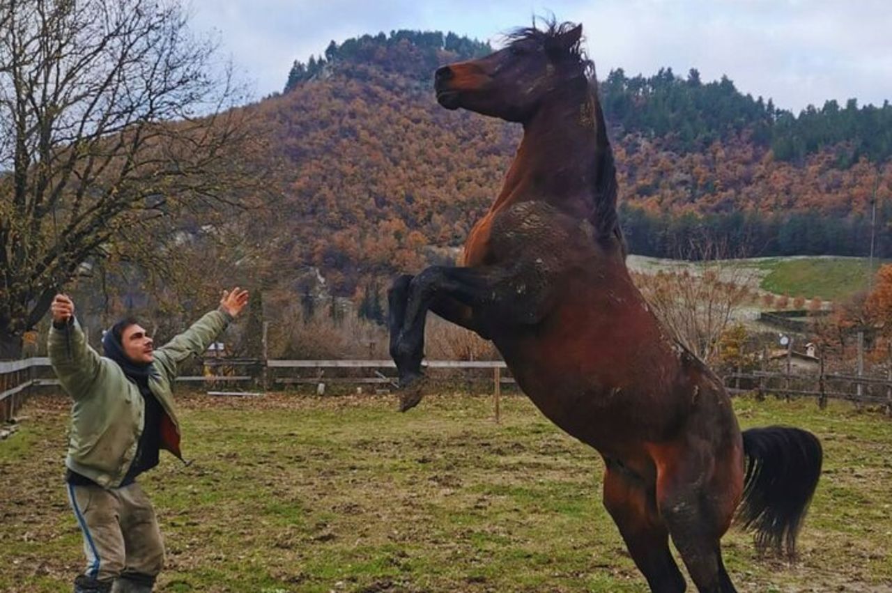 Tour a cavallo di Urbino con Guida — 6