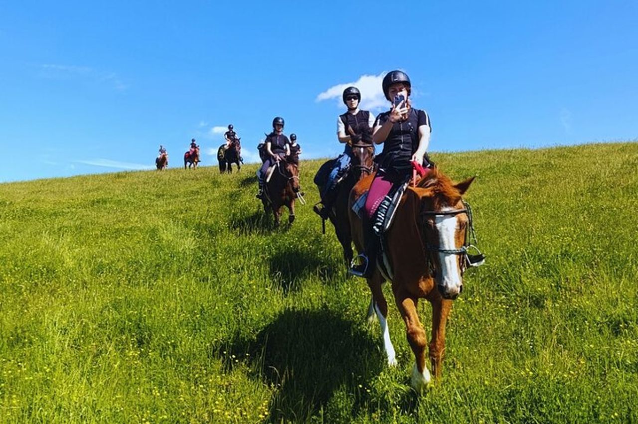 Tour a cavallo di Urbino con Guida — 7