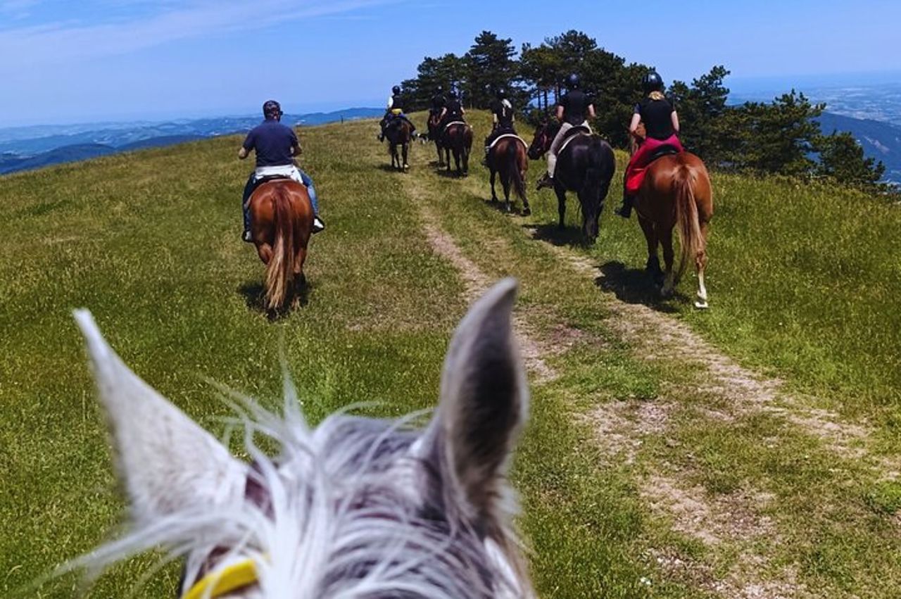 Tour a cavallo di Urbino con Guida — 5