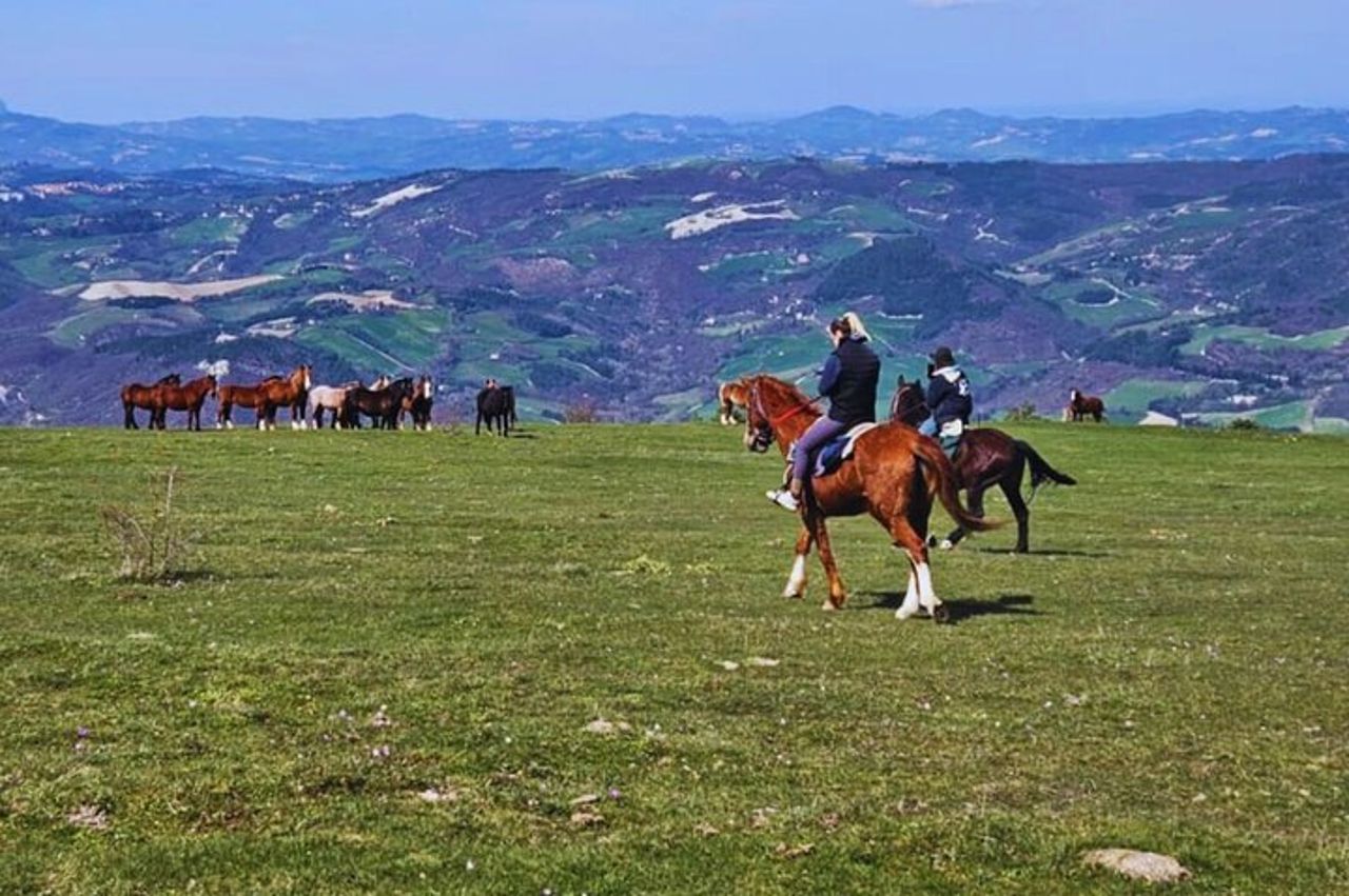 Tour a cavallo di Urbino con Guida — 8