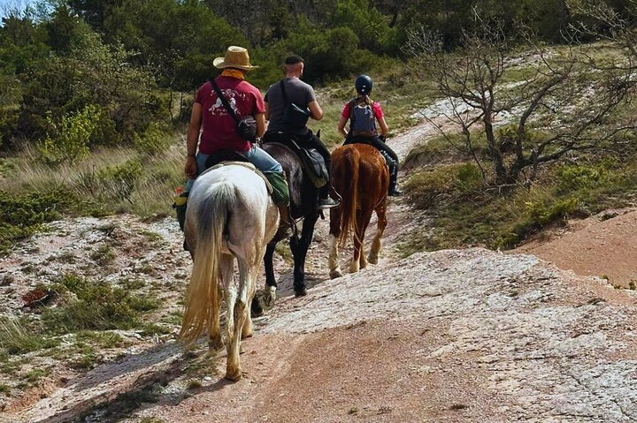 Tour a cavallo di Urbino con Guida — 4