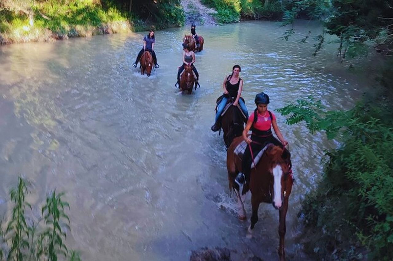 Passeggiata a cavallo di 2 ore nella Riserva Naturale del Furlo a Urbino — 6