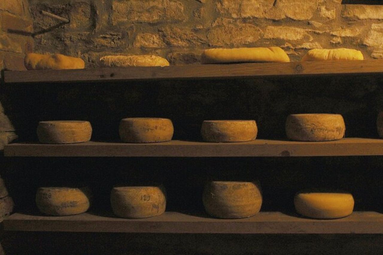 Cheese & wine tour in Piedmont with tasting and lunch on a farm. — 7