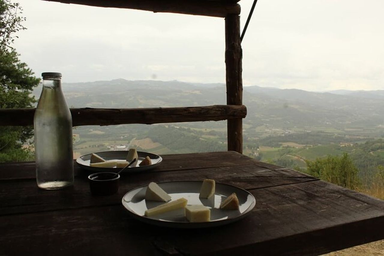 Cheese & wine tour in Piedmont with tasting and lunch on a farm. — 4