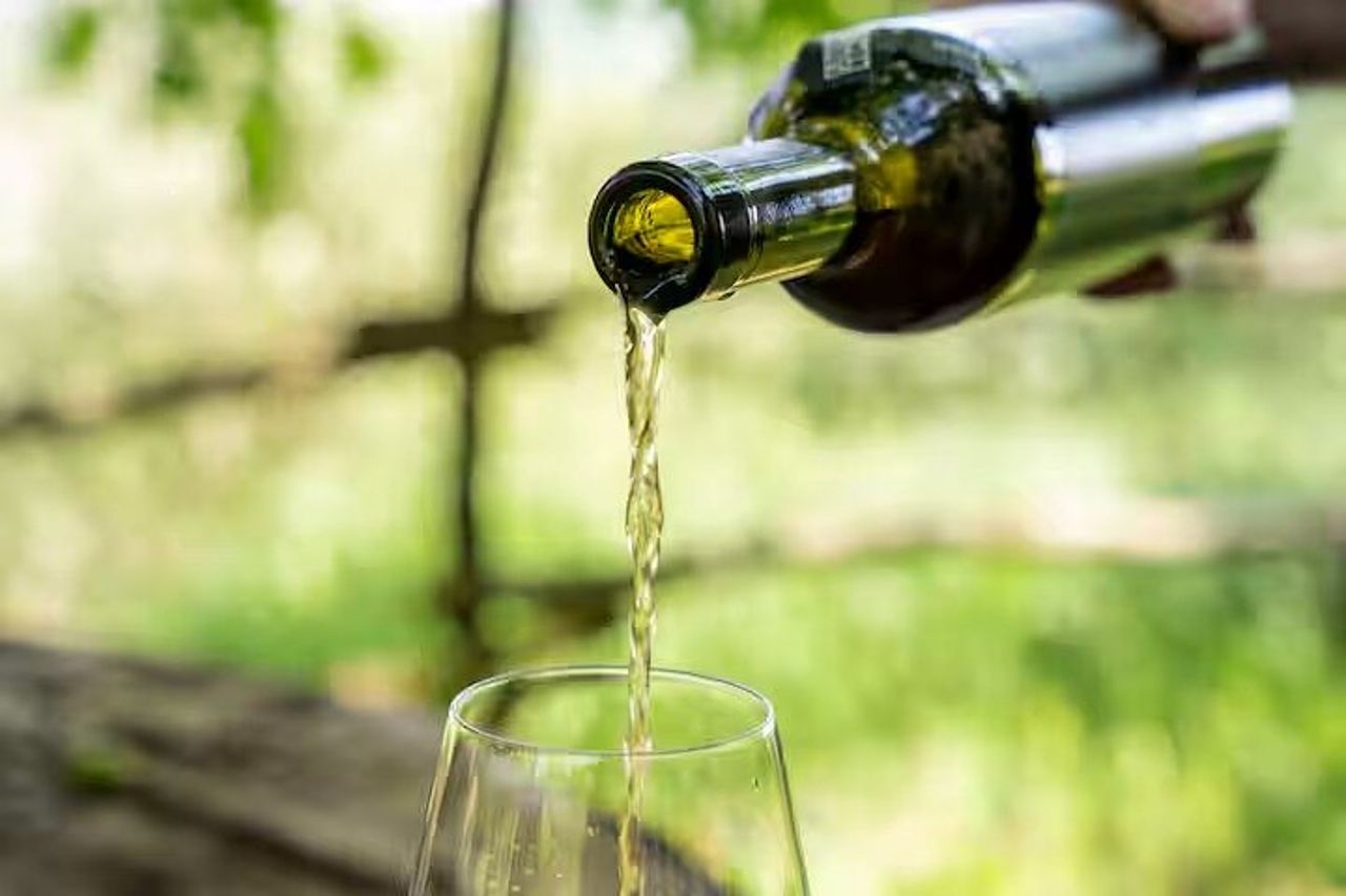 Cheese & wine tour in Piedmont with tasting and lunch on a farm. — 9