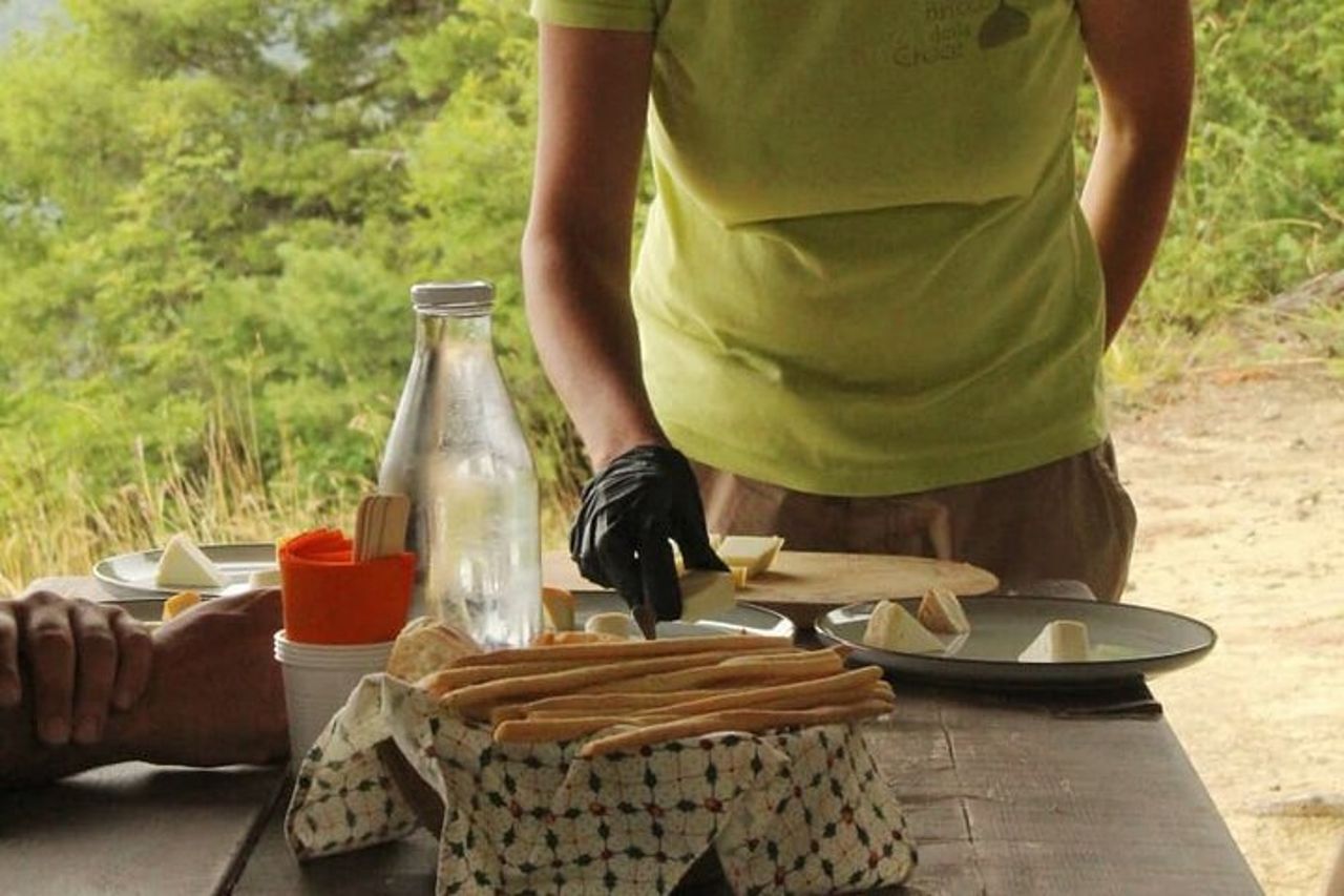 Cheese & wine tour in Piedmont with tasting and lunch on a farm. — 3