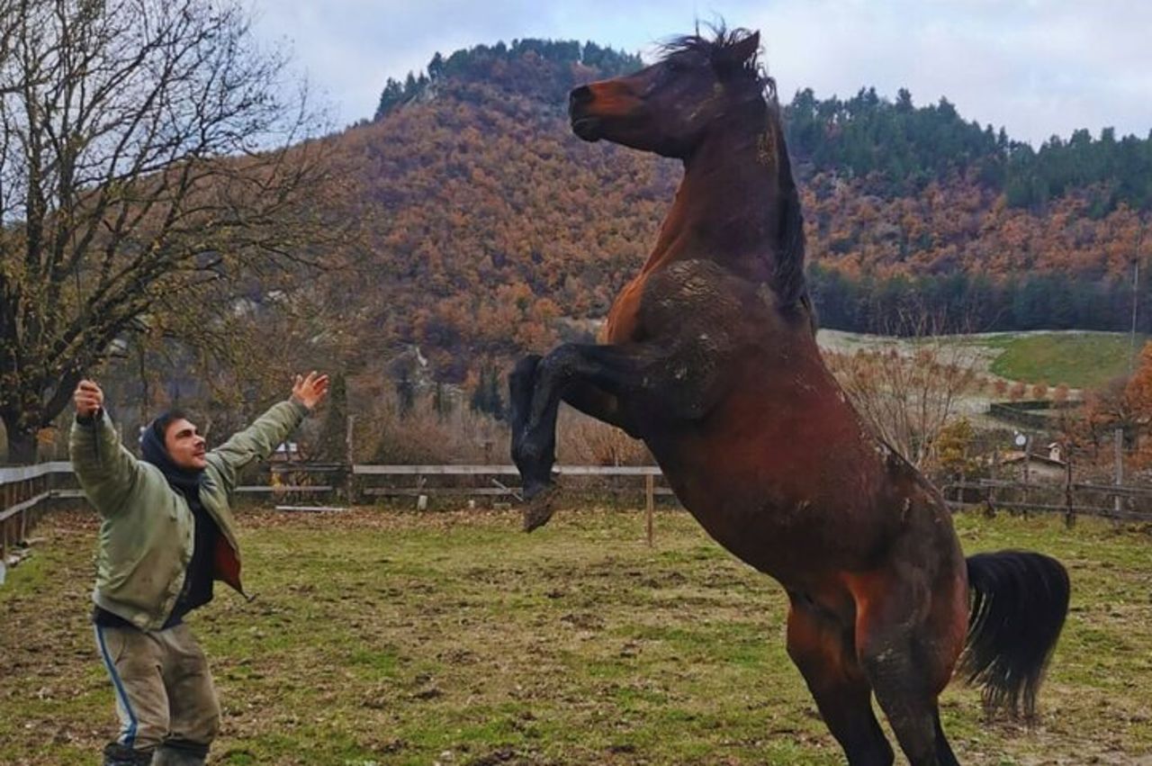 Passeggiata a cavallo di 2 ore nella Riserva Naturale del Furlo a Urbino — 2