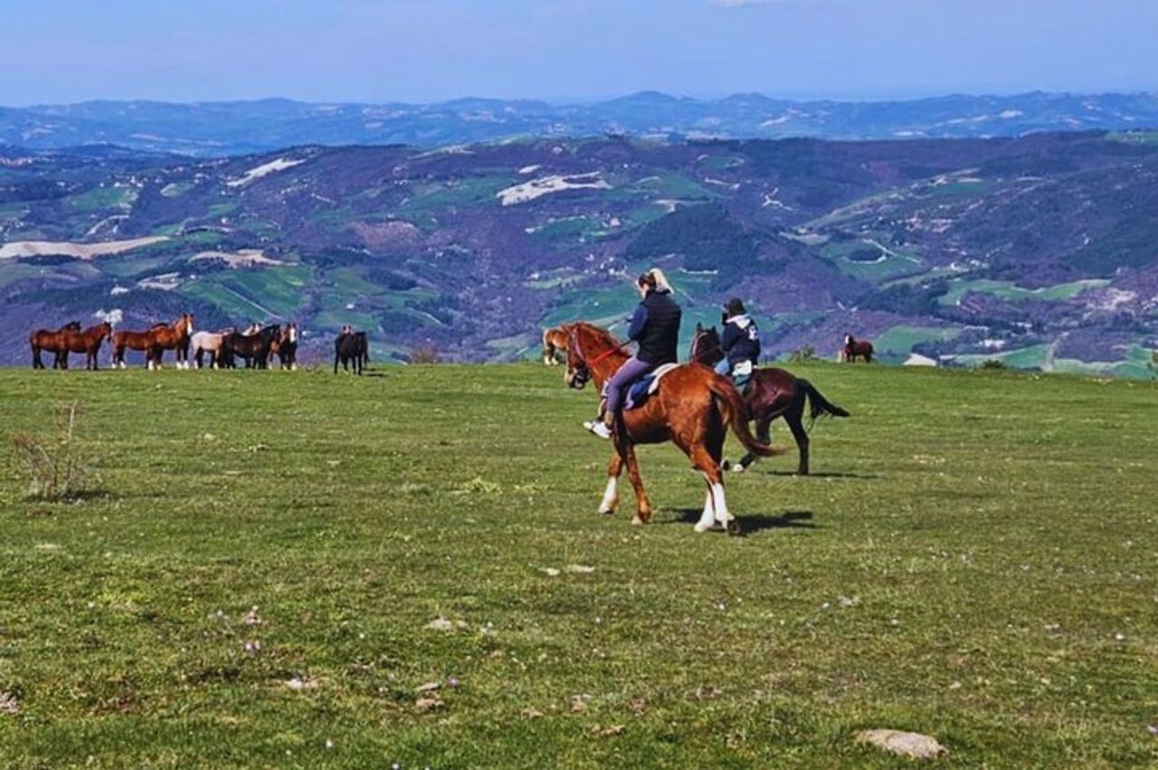 Passeggiata a cavallo di 2 ore nella Riserva Naturale del Furlo a Urbino — 8