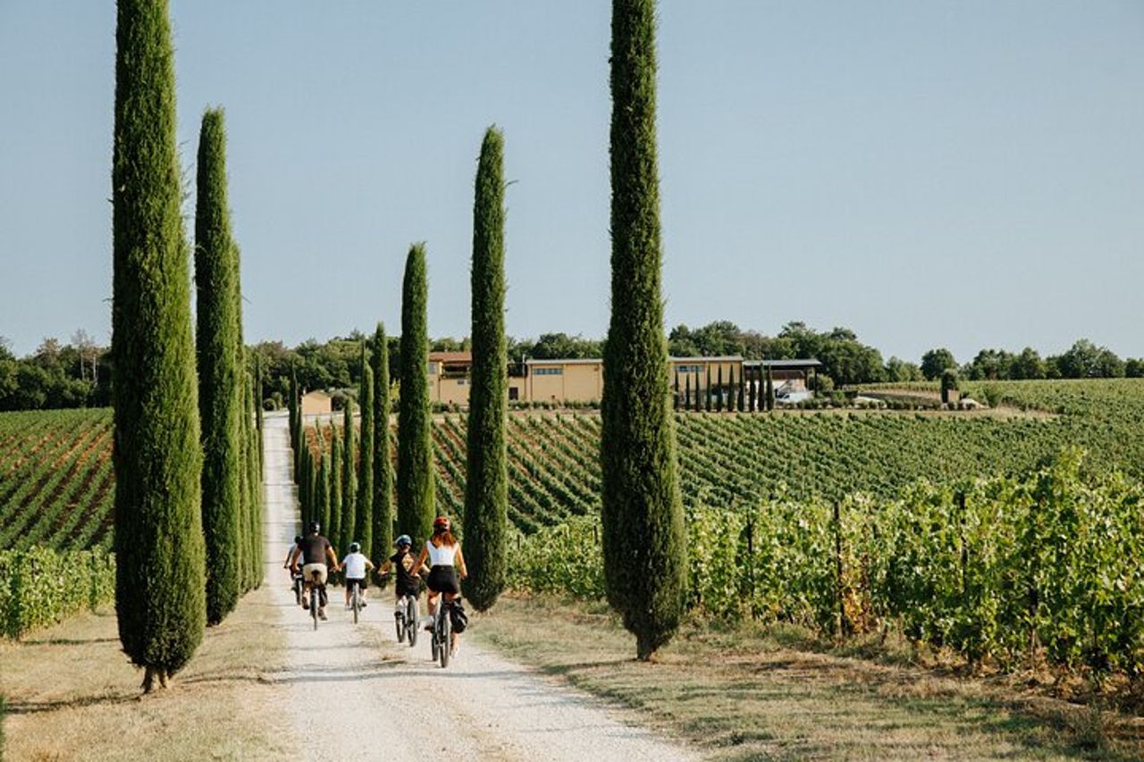 Cortona - eBike tour e degustazione di vini in Valdichiana [+40€] — 6