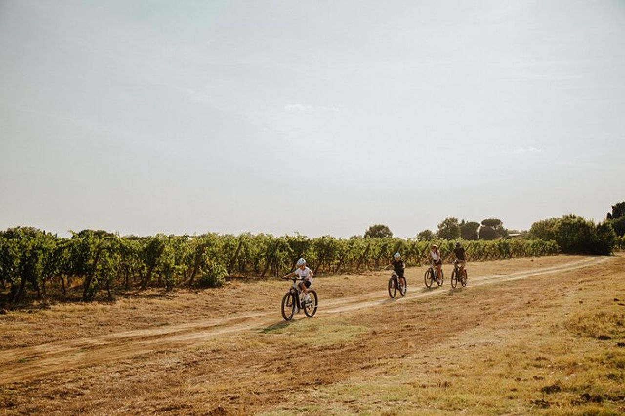 Cortona - eBike tour e degustazione di vini in Valdichiana [+40€] — 9