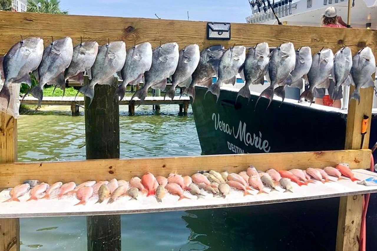 Destino: Festa e Passeggiata di Pesca — 5