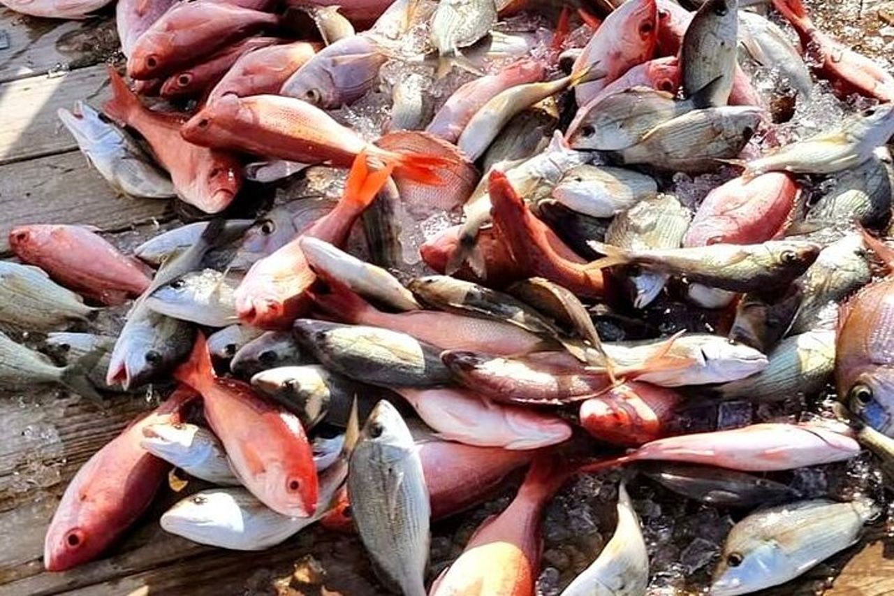 Destino: Festa e Passeggiata di Pesca — 7