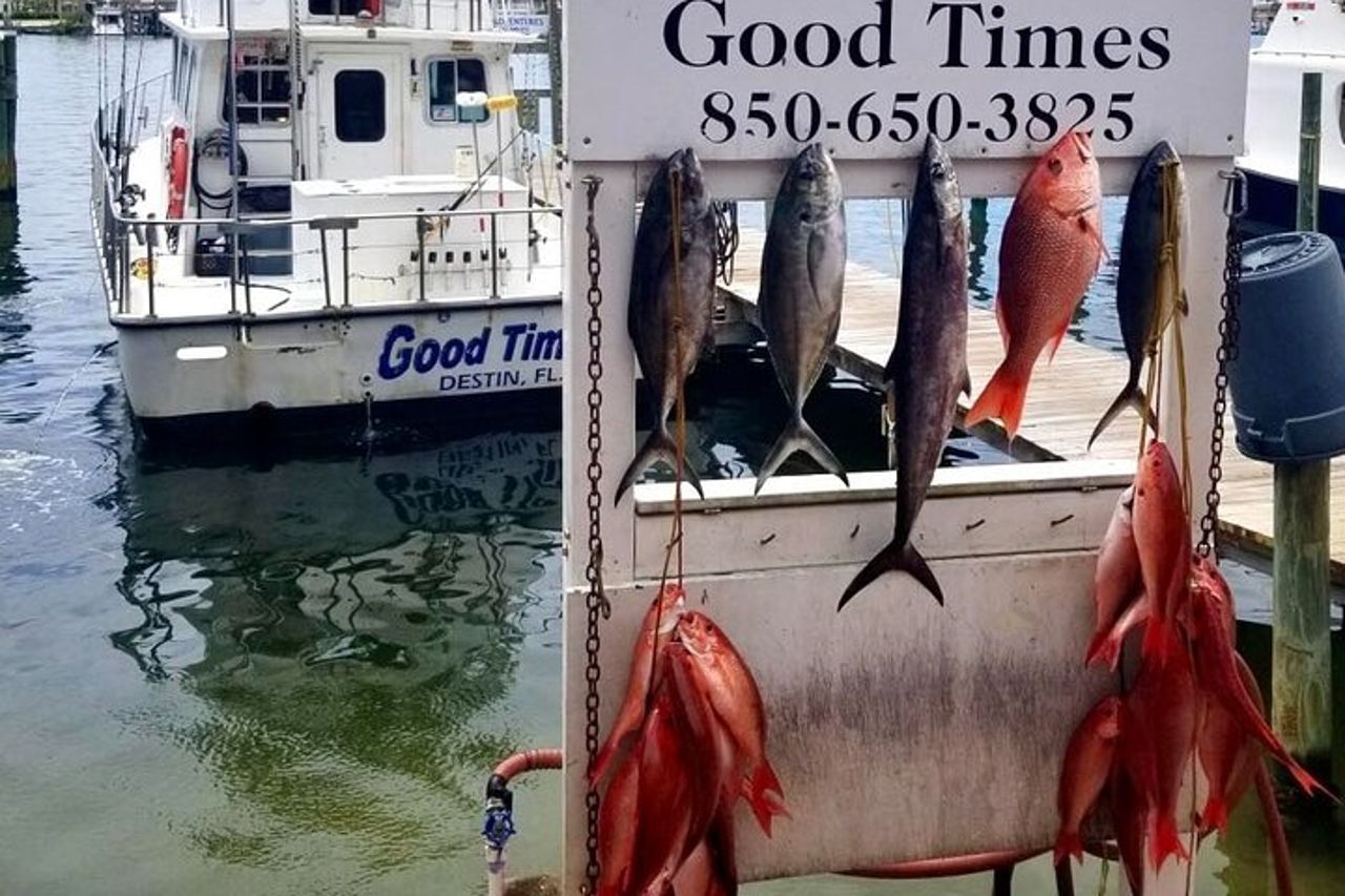 Viaggio condiviso di pesca d'altura da Destin — 3