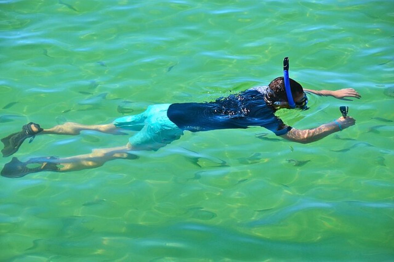 Snorkeling, Shelling ed Eco Escursione da Destin — 7
