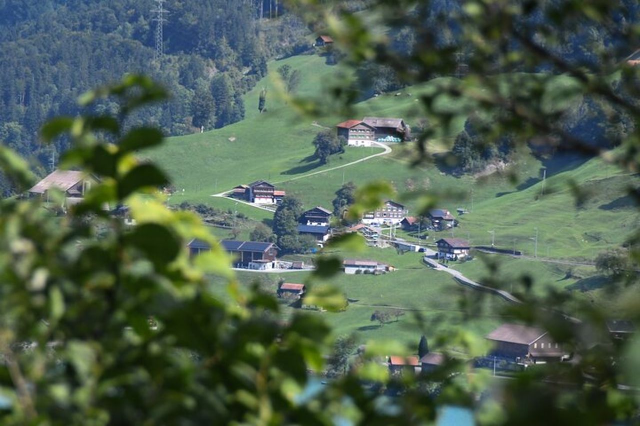 Basilea da o per Interlaken Transfer privato per 1 - 4 passeggeri — 4