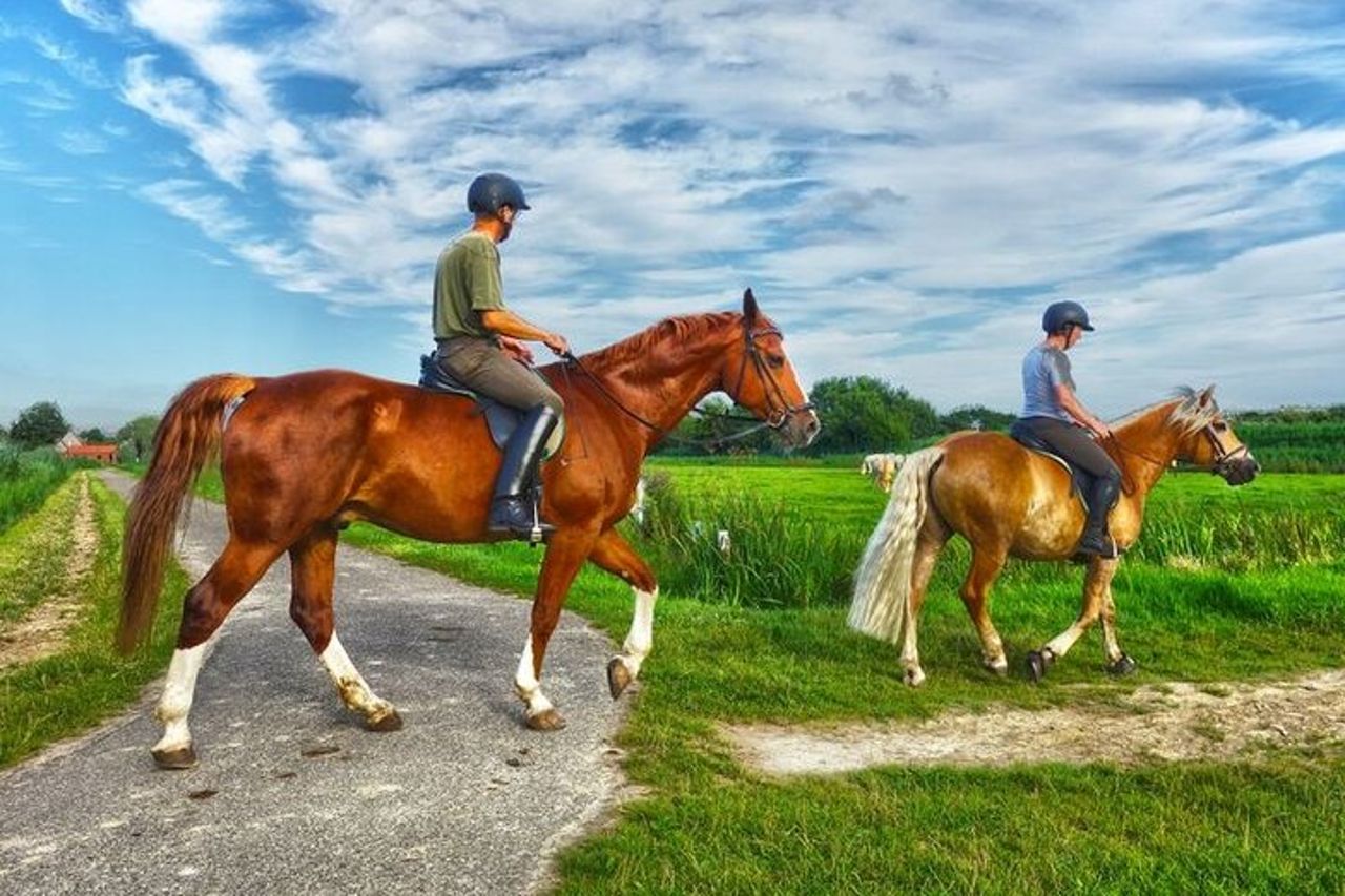 Passeggiate a cavallo B&C, Keeneland o Churchill Down Racetrack. — 6