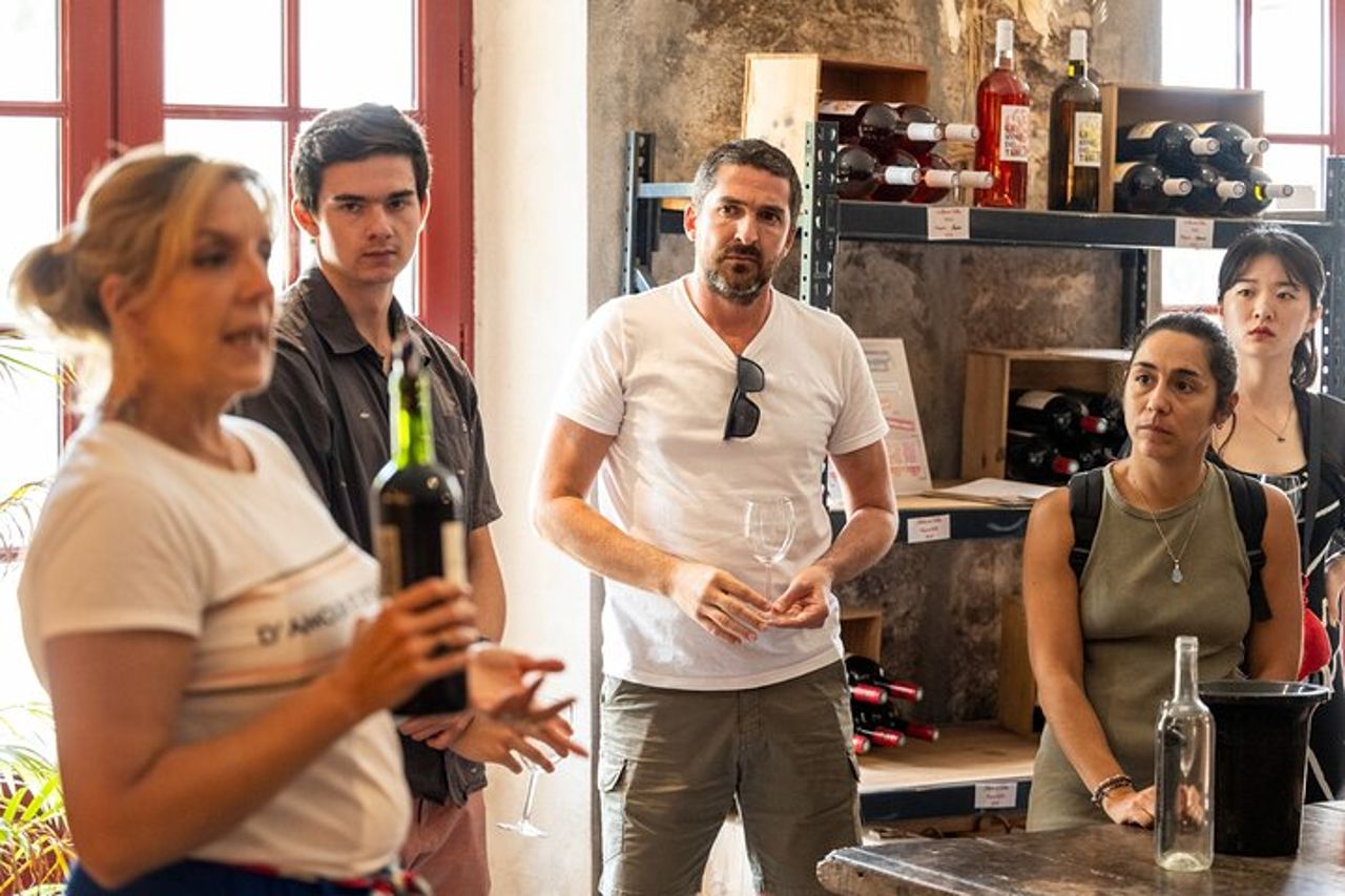 Tour del vino di mezza giornata attraverso i vigneti di Bordeaux — 4